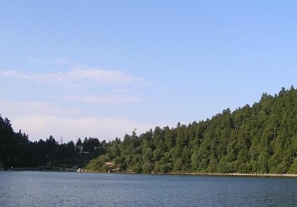 �������Y