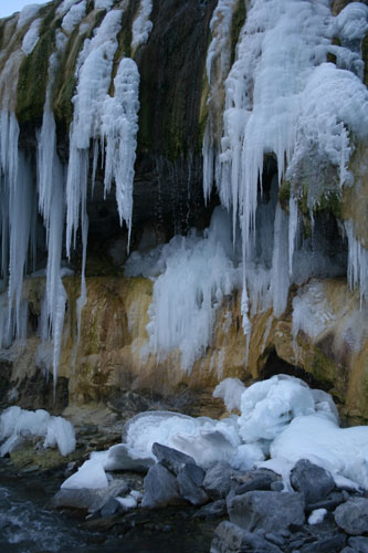 �������Y