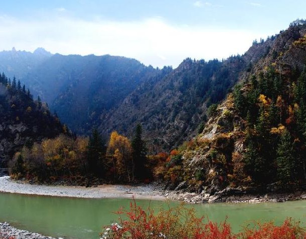 �������Y